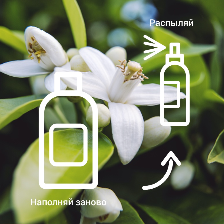 Neroli Water Aroma Lab Гидролат Горького апельсина Арома Лаб