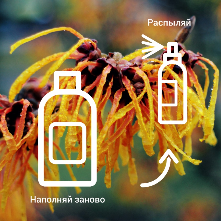 Witch Hazel Aroma Lab Гидролат Гамамелиса Арома Лаб