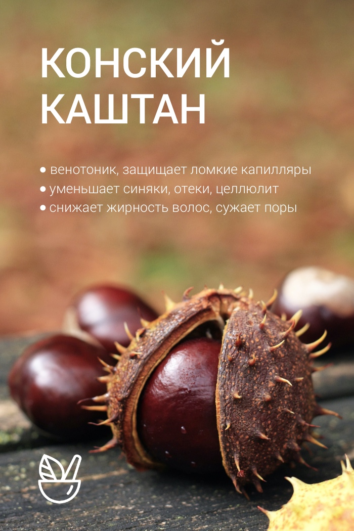 купить экстракт конского каштана конский каштан венотоник