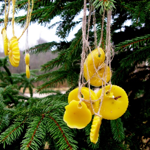 запах елки фото Ароматизатор для елки