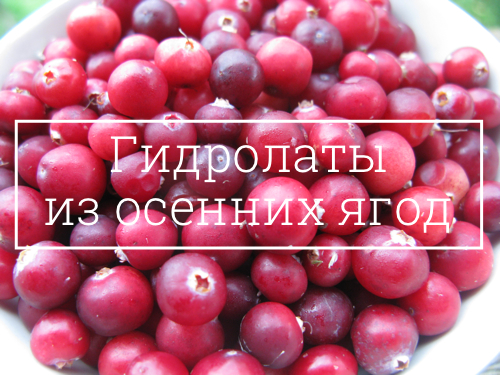 Гидролаты из ягод Гидролаты из ягод