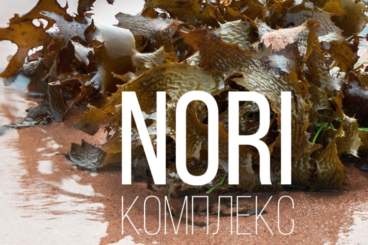 nori porfira фото экстракт нори