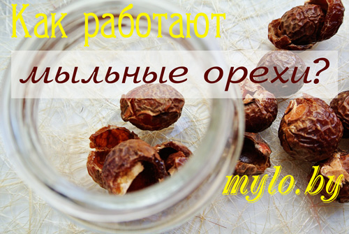 Как использовать мыльные орехи Как использовать мыльные орехи