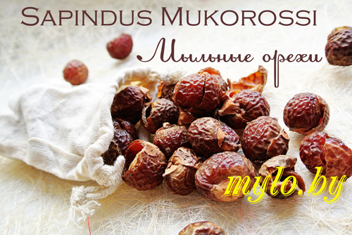 Мыльные орехи Мукоросси Мыльные орехи Мукоросси