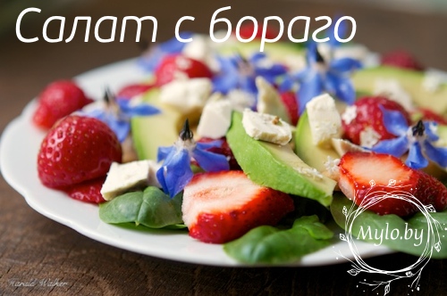 Салат из цветков бораго Салат из цветков бораго